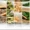 leucoderma-diet-chart